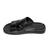 Timeless Trecks  WS-TT001
